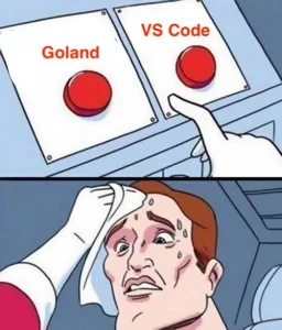 Goland vs visual studio-code